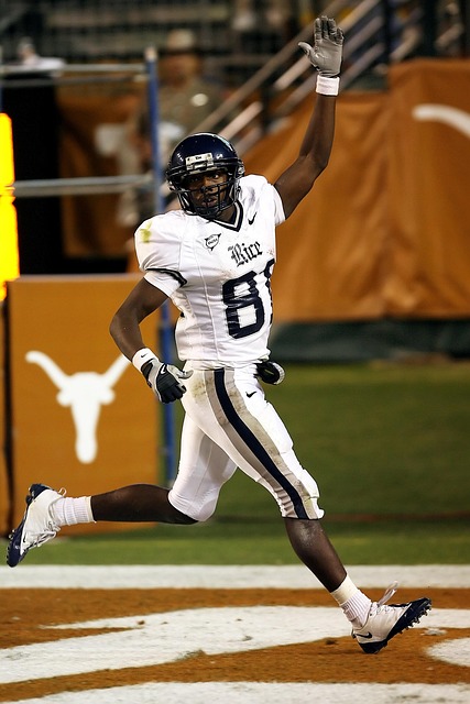 有机可乘 有机可乘