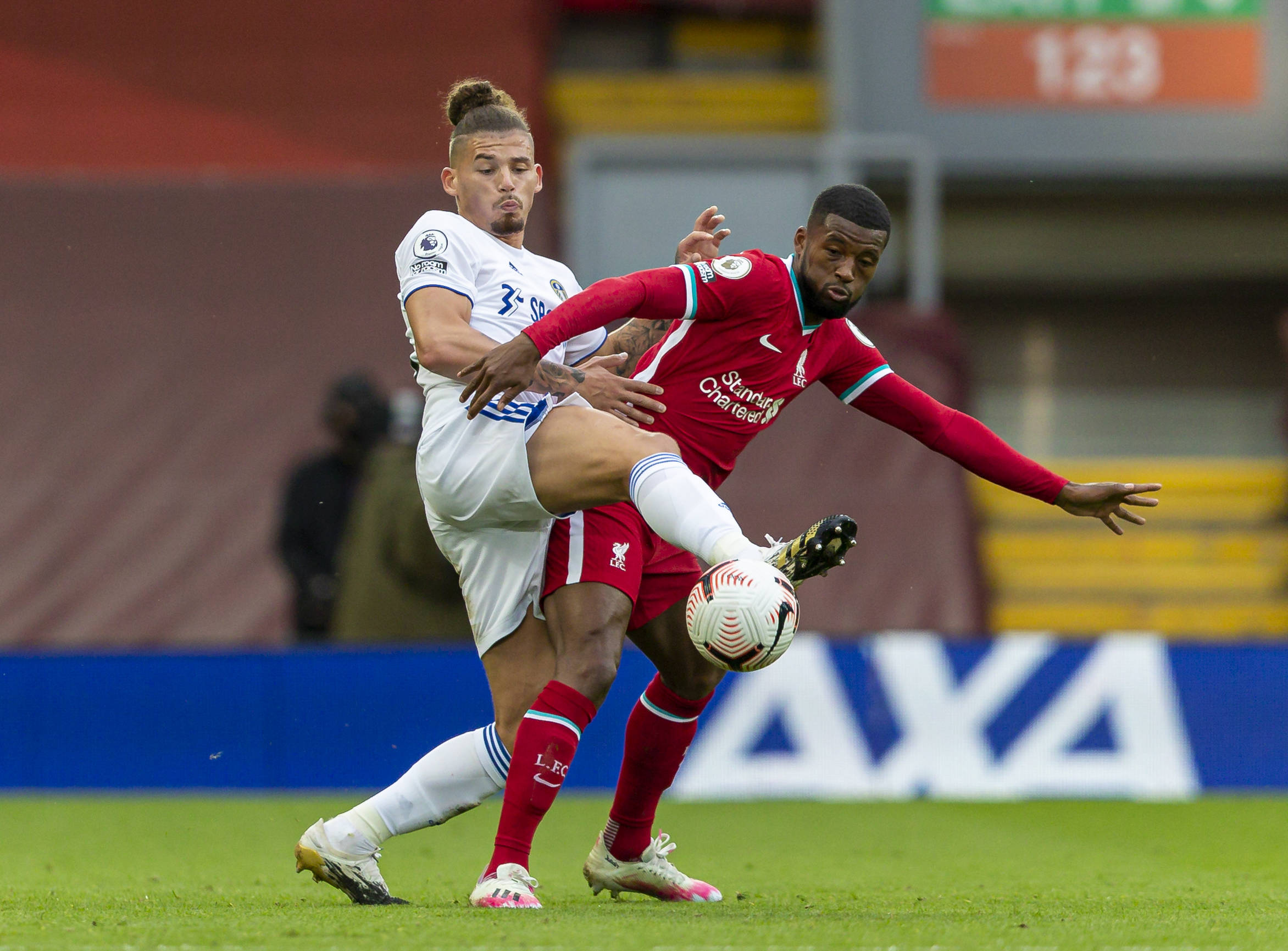 广东东阳光 广东东阳光